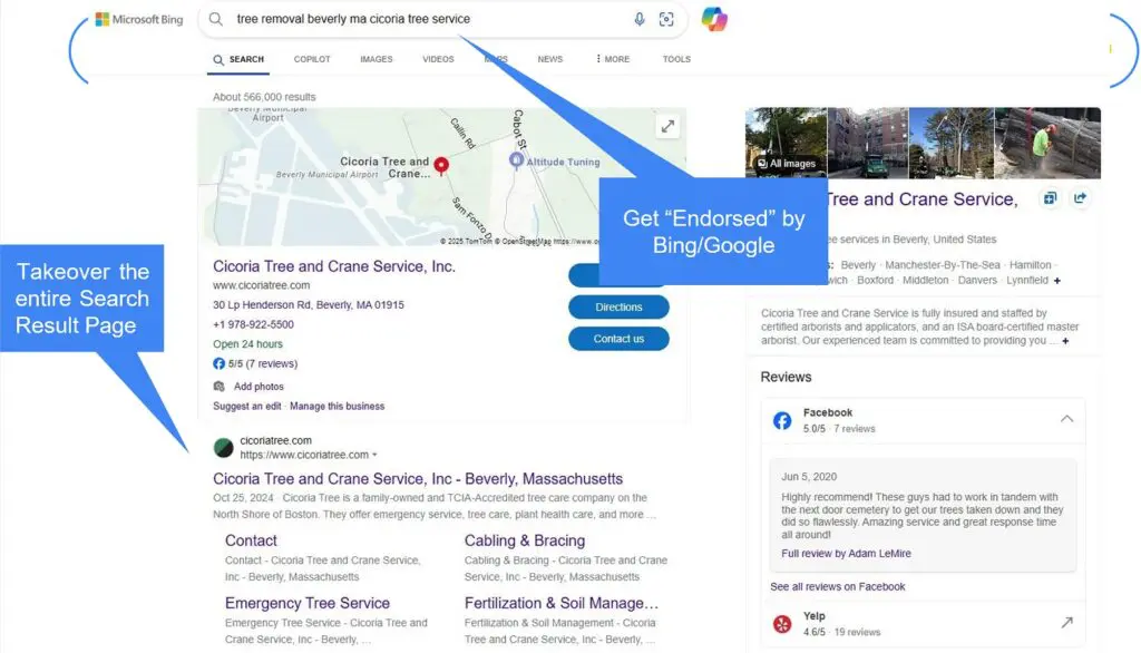 Search box optimization Search box optimization