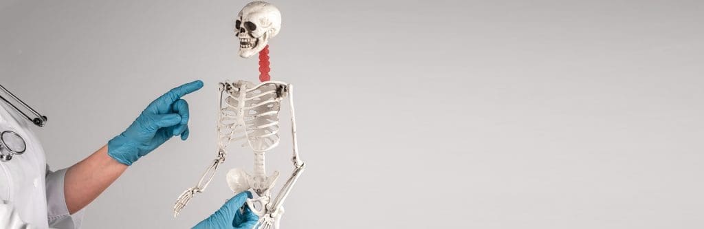 Chiropractic Lead and Marketing