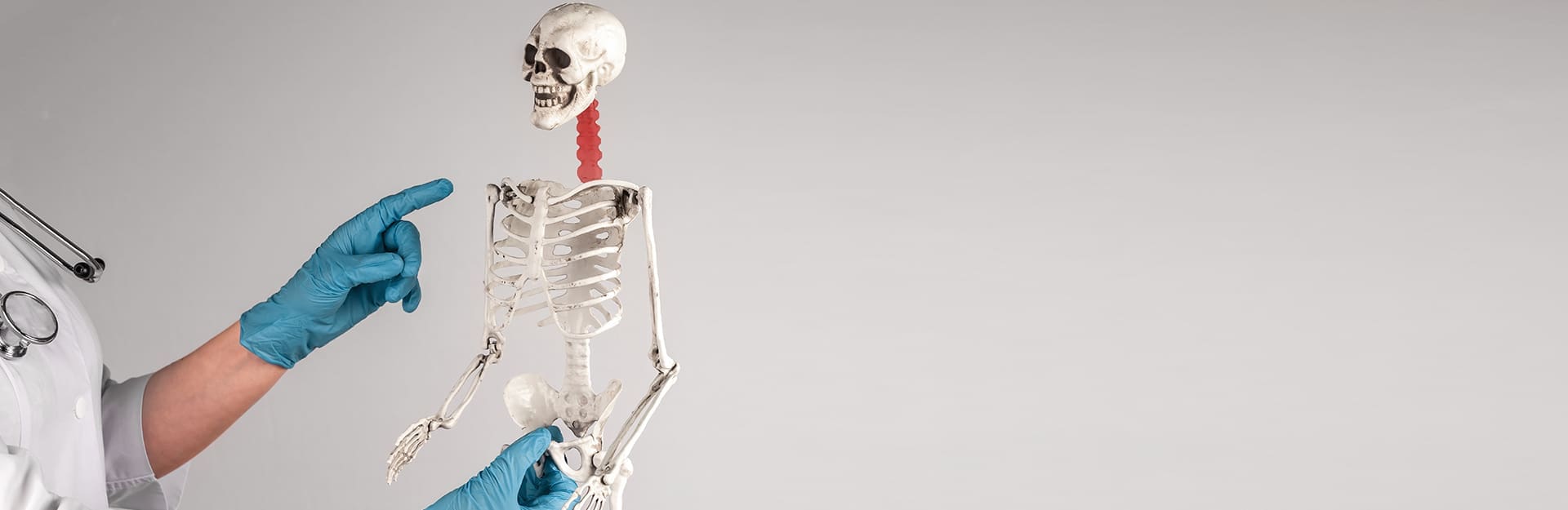 Key Digital Marketing Strategies For Chiropractors